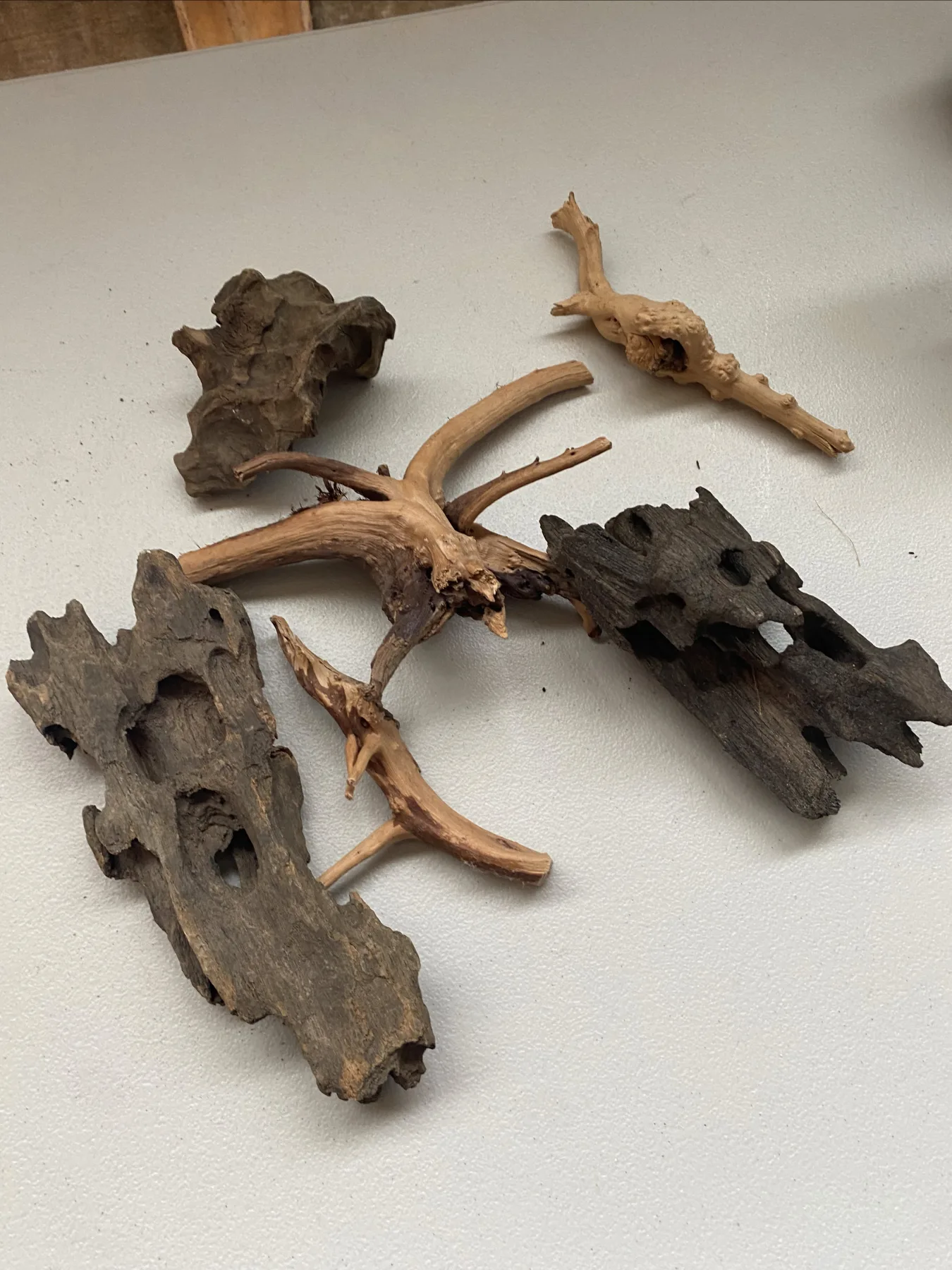 Weathered Wood Pieces and Bark Fragments Collection